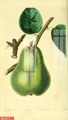 File gốc Tranh sơn dầu phương tây tổng hợp STS1596 (chuẩn màu) cho in offset