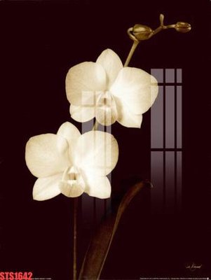 Download file ảnh gốc Tranh sơn dầu phương tây tổng hợp STS1642 để in ấn