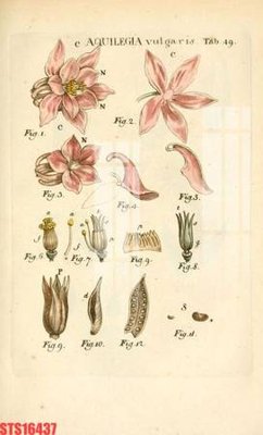 File gốc Tranh sơn dầu phương tây tổng hợp STS16437 (vector) cho in ấn