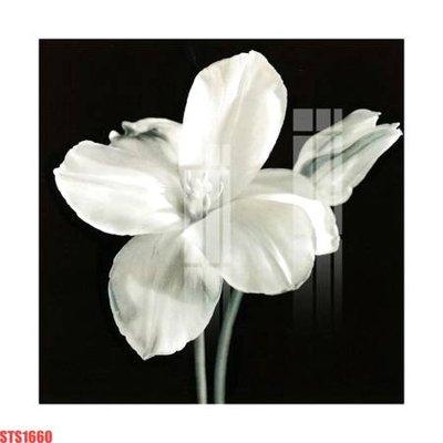 Tệp tin gốc Tranh sơn dầu phương tây tổng hợp STS1660 (chất lượng cao) Tranh sơn dầu phương tây tổng hợp STS1660