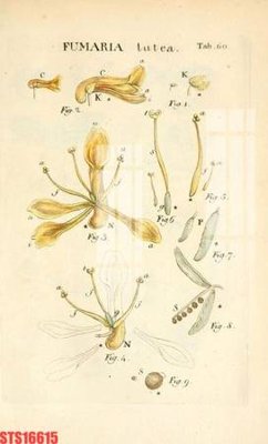 File in ấn chuyên nghiệp Tranh sơn dầu phương tây tổng hợp STS16615 (file gốc)