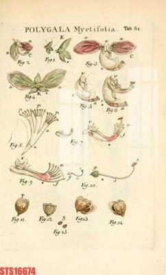 File gốc in ấn Tranh sơn dầu phương tây tổng hợp STS16674 chất lượng vượt trội
