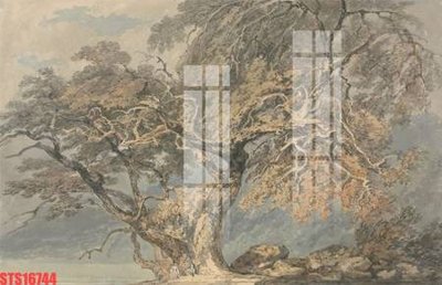 Cung cấp file tranh gốc Tranh sơn dầu phương tây tổng hợp STS16744 độc quyền