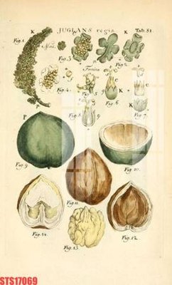 File ảnh Tranh sơn dầu phương tây tổng hợp STS17069 (gốc) trang trí khách sạn