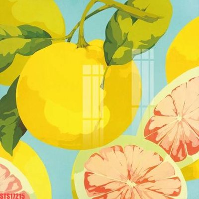 File tranh quảng cáo Tranh sơn dầu phương tây tổng hợp STS17215 (download file gốc)