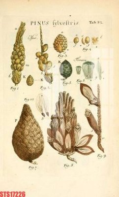 File tranh Tranh sơn dầu phương tây tổng hợp STS17226 (ảnh gốc) in trần nhà