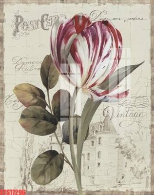 Hình ảnh file gốc in trần nhà Tranh sơn dầu phương tây tổng hợp STS17296