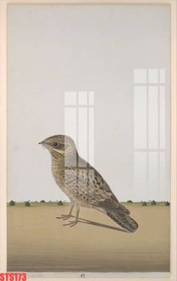 File tranh Tranh sơn dầu phương tây tổng hợp STS173 (ảnh gốc) cho in ấn kỹ thuật số