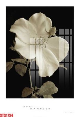 Tải file Tranh sơn dầu phương tây tổng hợp STS1734 (gốc) in tranh tráng gương