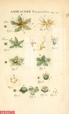 File in trần Tranh sơn dầu phương tây tổng hợp STS17343 (bản gốc) trời sao