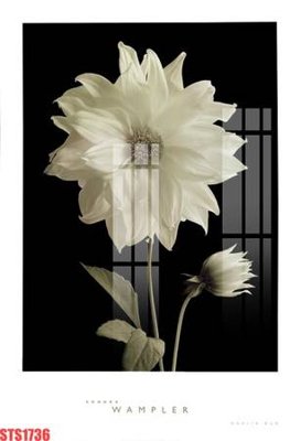 File gốc in tráng gương Tranh sơn dầu phương tây tổng hợp STS1736 chi tiết