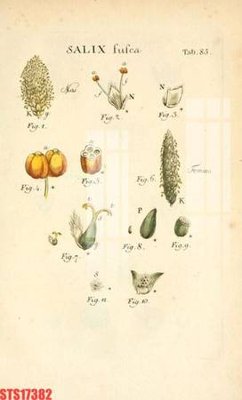 File ảnh Tranh sơn dầu phương tây tổng hợp STS17382 (gốc) in standee