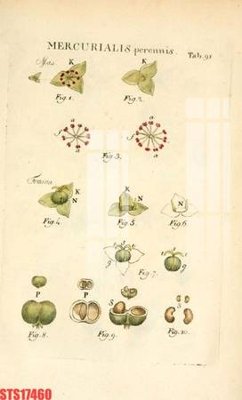 File tranh gốc Tranh sơn dầu phương tây tổng hợp STS17460 (bản đẹp) độc quyền