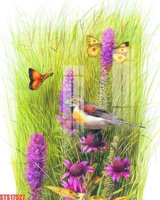 Chi tiết file ảnh Tranh sơn dầu phương tây tổng hợp STS17527 sắc nét