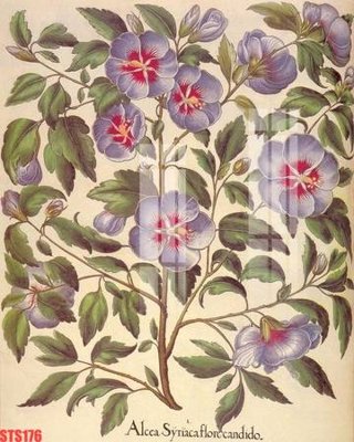 Ảnh gốc Tranh sơn dầu phương tây tổng hợp STS176 (độ nét cao) in tráng gương