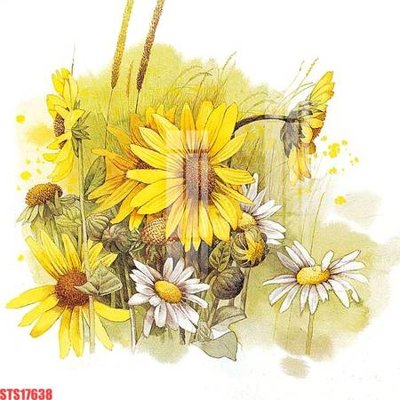 File ảnh Tranh sơn dầu phương tây tổng hợp STS17638 (gốc) cho trang trí nội thất