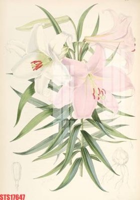 Tải file Tranh sơn dầu phương tây tổng hợp STS17647 (ảnh gốc) in gạch 3D