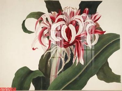 File gốc Tranh sơn dầu phương tây tổng hợp STS17654 (cho in UV) siêu nét