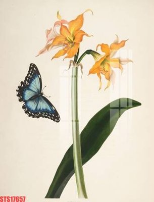 File gốc Tranh sơn dầu phương tây tổng hợp STS17657 (cho in ấn) từ kho Filetranh