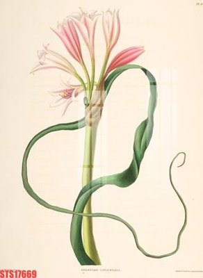 File tranh Tranh sơn dầu phương tây tổng hợp STS17669 (gốc) chủ đề thiên nhiên