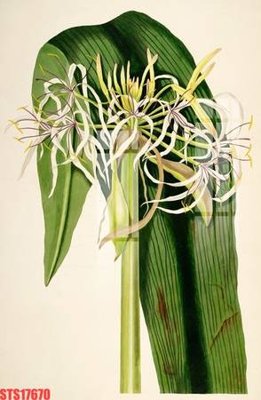 Tải file Tranh sơn dầu phương tây tổng hợp STS17670 (gốc) chủ đề phong thủy