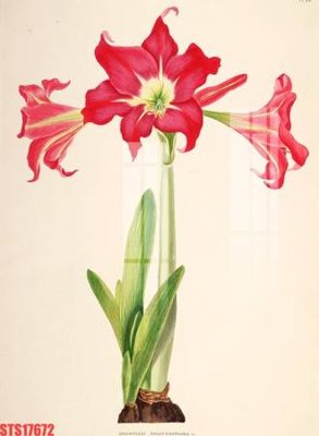 Chi tiết file gốc Tranh sơn dầu phương tây tổng hợp STS17672 (cho in tráng gương)