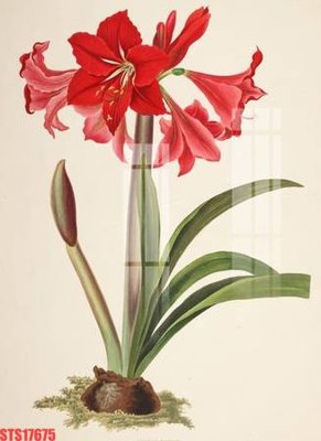 File in mica Tranh sơn dầu phương tây tổng hợp STS17675 (bản gốc) làm vách ngăn