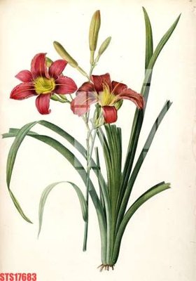 File gốc in ấn Tranh sơn dầu phương tây tổng hợp STS17683 chất lượng vượt trội