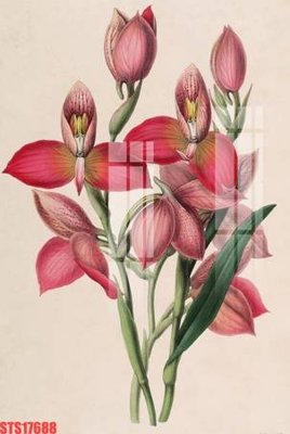 Tải file Tranh sơn dầu phương tây tổng hợp STS17688 (ảnh gốc) in gạch 3D