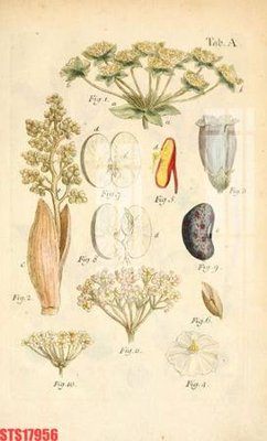 File tranh Tranh sơn dầu phương tây tổng hợp STS17956 (ảnh gốc) độ nét vượt trội