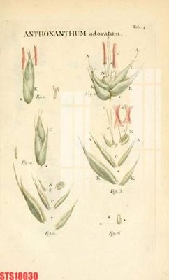 Tải file Tranh sơn dầu phương tây tổng hợp STS18030 (gốc) làm file tranh quảng cáo