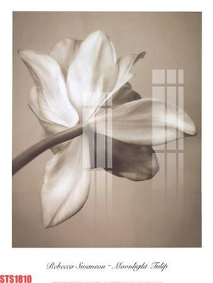 Tải file gốc Tranh sơn dầu phương tây tổng hợp STS1810 (bản PSD) còn layer