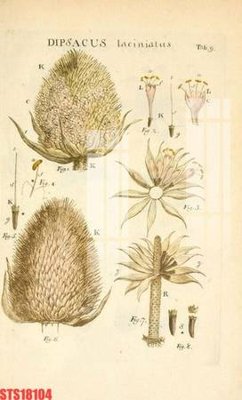 Tải file Tranh sơn dầu phương tây tổng hợp STS18104 (PSD) cho in tranh 3D