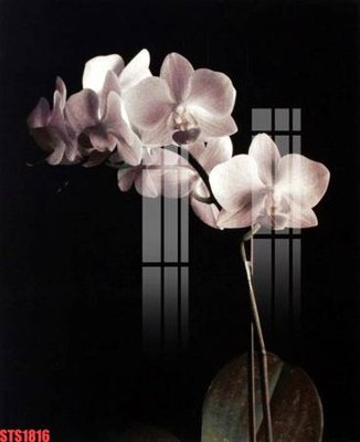 File in ấn cao cấp Tranh sơn dầu phương tây tổng hợp STS1816 (file gốc)