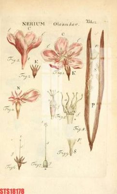 File tranh gốc PSD Tranh sơn dầu phương tây tổng hợp STS18178 còn nguyên layer