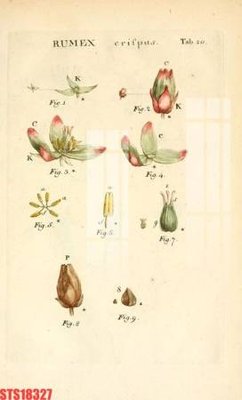 Download file Tranh sơn dầu phương tây tổng hợp STS18327 (chuẩn in) chất lượng cao