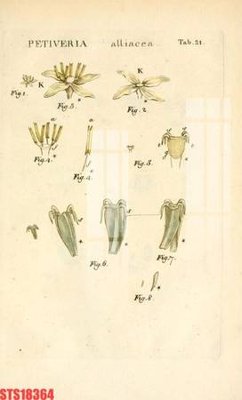 Tải file Tranh sơn dầu phương tây tổng hợp STS18364 (ảnh gốc) 300dpi Tranh sơn dầu phương tây tổng hợp STS18364