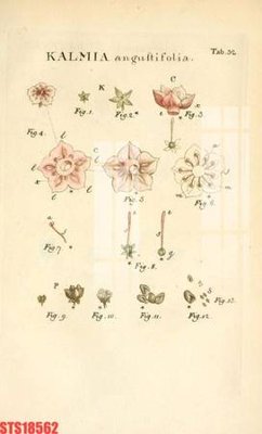 File tranh gốc Tranh sơn dầu phương tây tổng hợp STS18562 chủ đề hiện đại