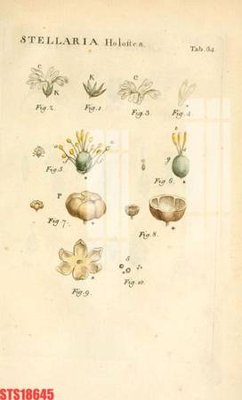 File ảnh Tranh sơn dầu phương tây tổng hợp STS18645 (gốc) trang trí khách sạn