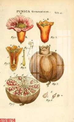 File in trần Tranh sơn dầu phương tây tổng hợp STS18714 (bản gốc 3D) sống động