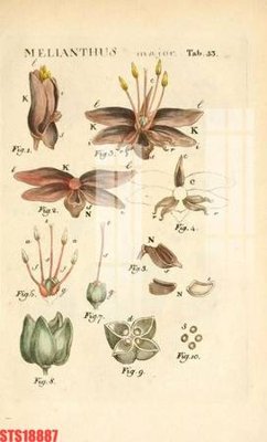 File gốc Tranh sơn dầu phương tây tổng hợp STS18887 (trang trí) phòng trẻ em