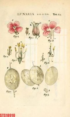 File gốc Tranh sơn dầu phương tây tổng hợp STS18910 (phong cách) châu Âu