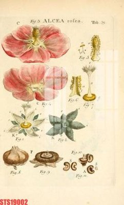 File in lụa Tranh sơn dầu phương tây tổng hợp STS19002 (phong cảnh) Tranh sơn dầu phương tây tổng hợp STS19002