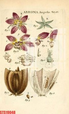 File ảnh Tranh sơn dầu phương tây tổng hợp STS19048 (gốc) cho trang trí nhà hàng