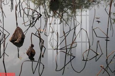 Ảnh mô tả file gốc in mica Tranh sơn dầu phương tây tổng hợp STS19051