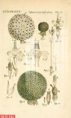 File gốc Tranh sơn dầu phương tây tổng hợp STS19219 (chủ đề hiện đại) trang trí