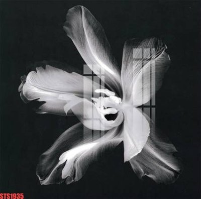 File gốc Tranh sơn dầu phương tây tổng hợp STS1935 (in ấn) màu sắc trung thực