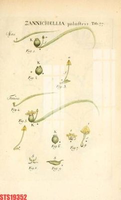 File tranh quảng cáo Tranh sơn dầu phương tây tổng hợp STS19352 (download file gốc)