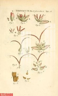 File gốc Tranh sơn dầu phương tây tổng hợp STS19408 (in mica) trang trí