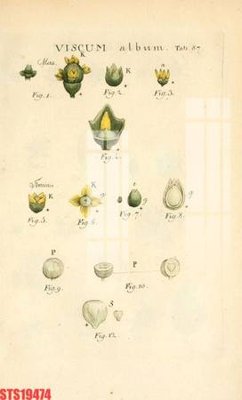 File in ấn Tranh sơn dầu phương tây tổng hợp STS19474 (bản gốc) sắc nét